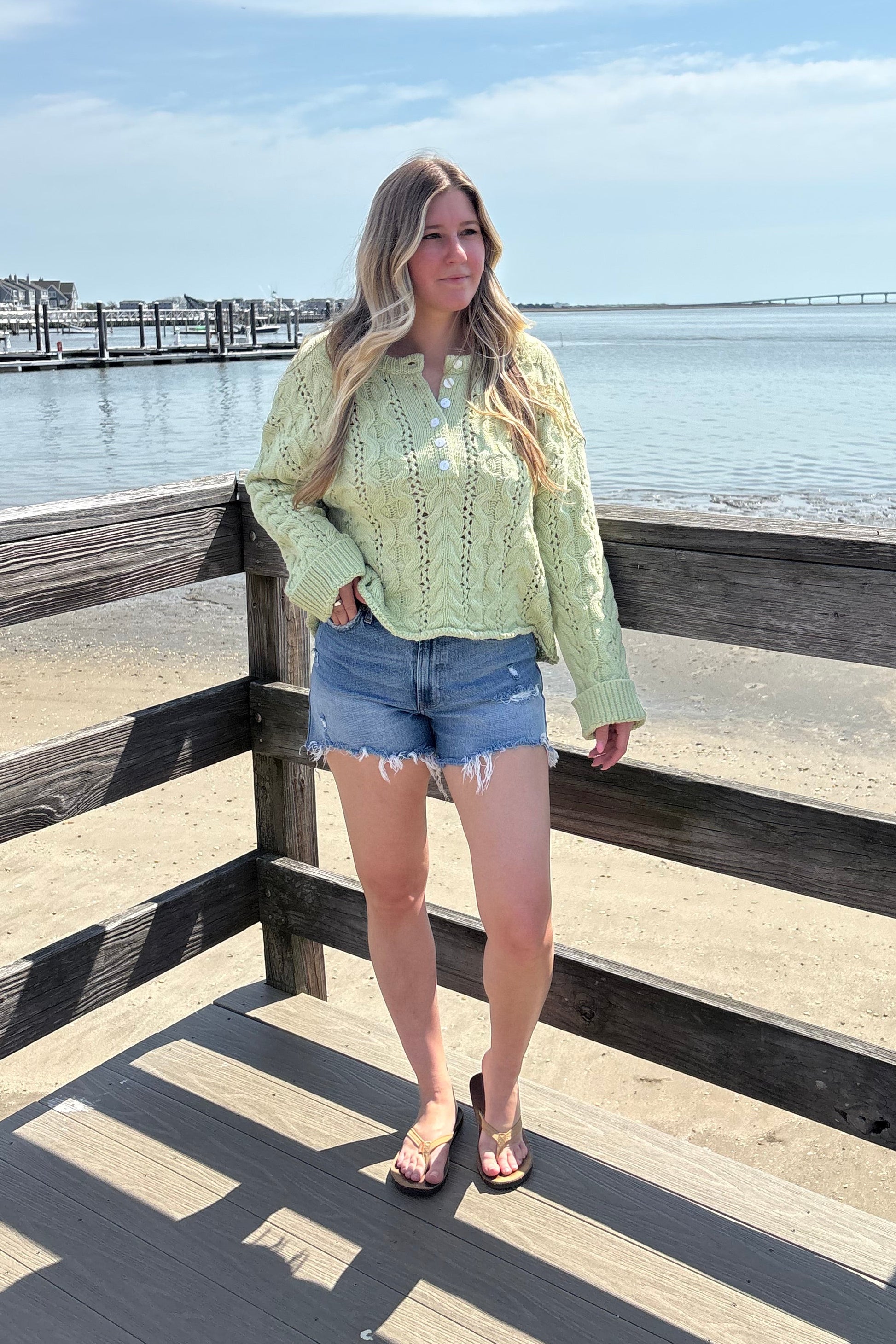 Person standing on a wooden platform with a scenic background